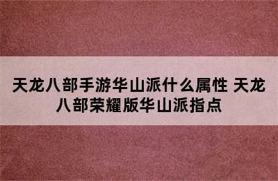 天龙八部手游华山派什么属性 天龙八部荣耀版华山派指点